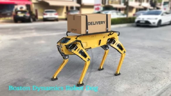 Boston Dynamics Robot Dog