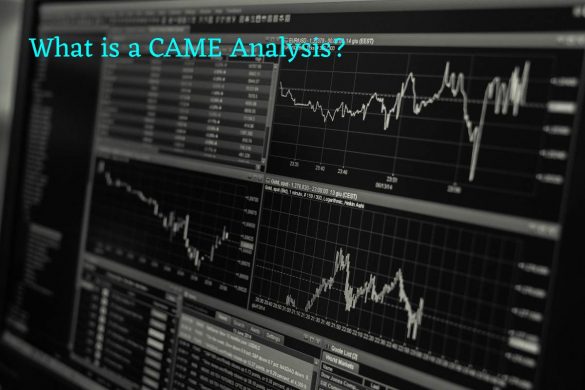 CAME Analysis