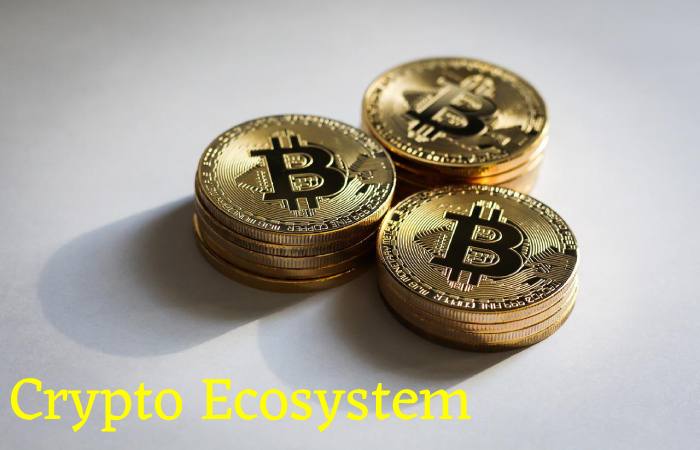 Crypto Ecosystem