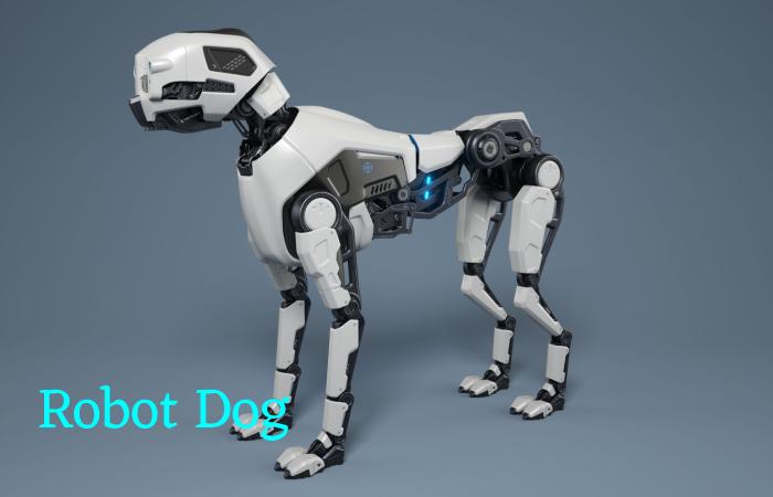 Robot Dog