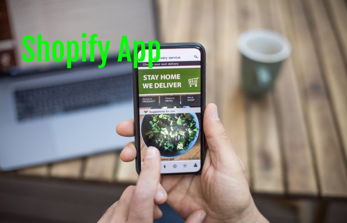 Shopify app