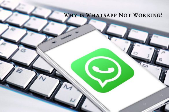Whatsapp Not Working