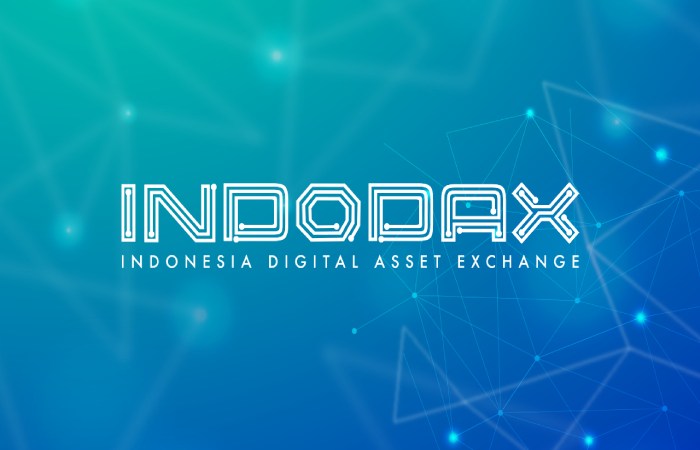 indodax log