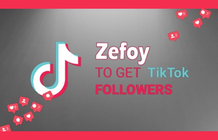 zefoy app